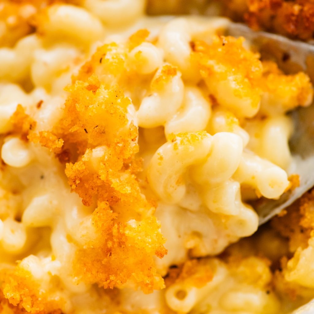 Mary Berry Macaroni and Cheese Recipe